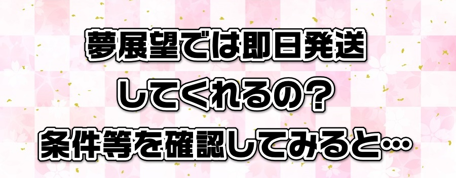 夢展望では即日発送してくれるの?条件等を確認してみると…
